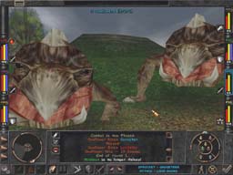 Some of Wizardry 8's huge creatures